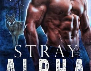 stray alpha eve bale