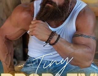 tiny problem karen renee