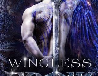 wingless crows marina simcoe