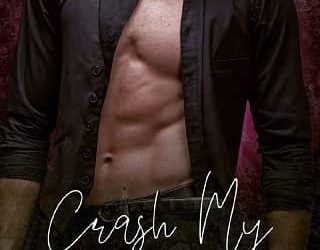 crash party lissa lynn thomas