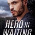 hero in waiting andrew grey