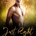 just right lorelei m hart