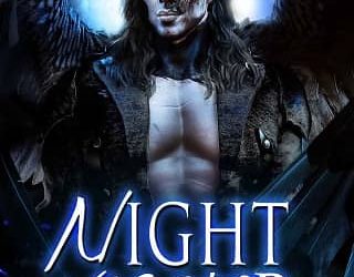 night visitor sj sanders