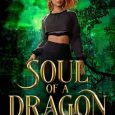 soul dragon andie fenichel