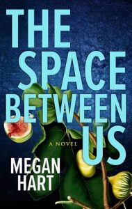 space between us, megan hart