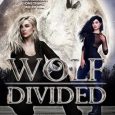 wolf divided quinn loftis