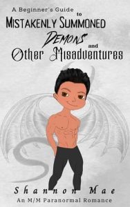 beginner's guide, shannon mae