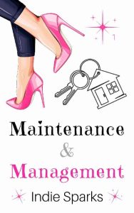 maintenance management, indie sparks