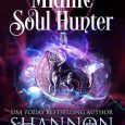 soul hunter shannon mayer