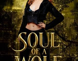 soul wolf andie fenichel