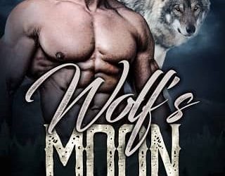 wolf's moon jean stokes