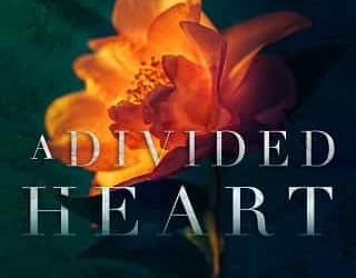 divided heart alessandra torre