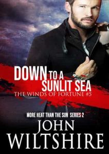 down sunlit sea, john wiltshire