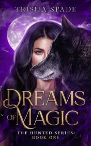 dreams magic, sarah spade