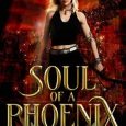 soul phoenix andie fenichel