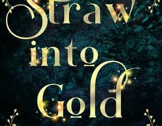 straw into gold carol beth anderson