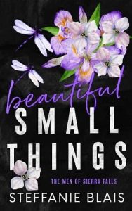 beautiful small things, steffanie blais
