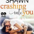 crashing into you melanie shawn