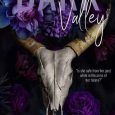 dark valley cj mccauley