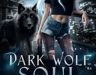 dark wolf soul heather hildenbrand