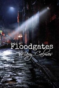 floodgates, mary calmes