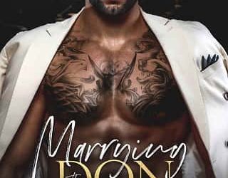 marrying don fury ashlie silas