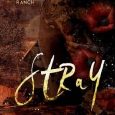 stray dj krimmer