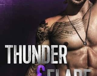 thunder flare cat porter