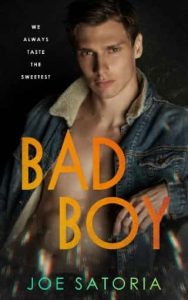 bad boy, joe satoria