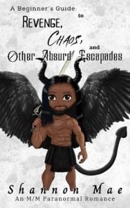 beginner's guide, shannon mae