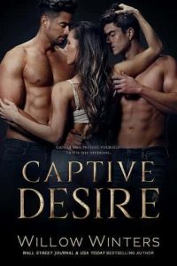 captive desires willow winters