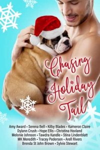 chasing holiday, kameron claire