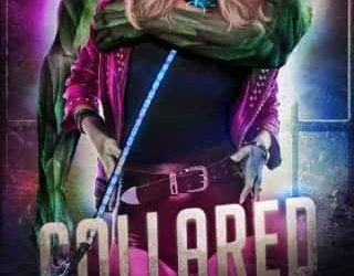 collared loki renard