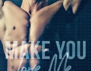 make you love me shae michaels