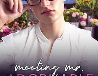 meeting adorkable ali ryecart