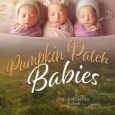 pumpkin babies sarah haven