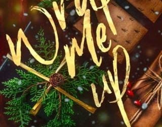 wrap me up penny reid