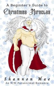 beginner's guide, shannon mae