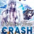 blizzard plane crash lisa daniels