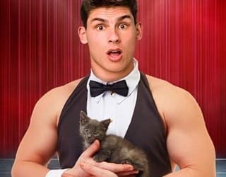 cat's pajamas robin knight