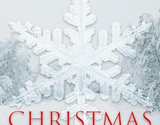 christmas signal bend susan fanetti