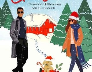 cupid's first christmas tana jenkins