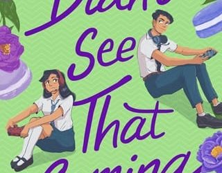 didn't see that jesse q sutanto