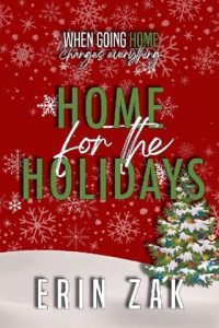 home for holidays, erin zak
