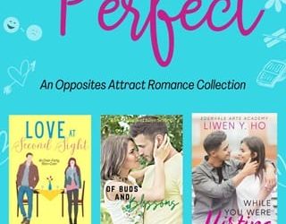 imperfectly perfect liwen y ho