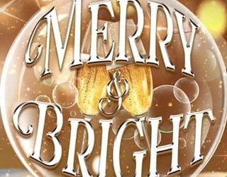 merry bright stevie macfarlane