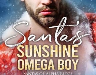 santa's sunshine anna wineheart