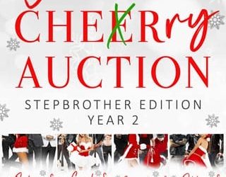 christmas auction sylvie haas