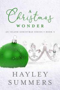 christmas wonder 3, hayley summers