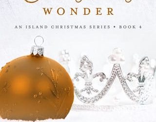 christmas wonder 4 hayley summers